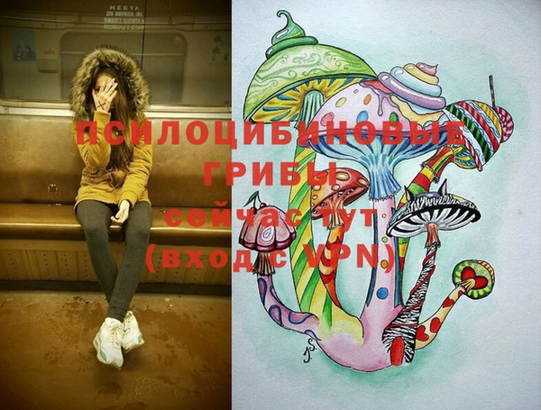 кокс Аркадак