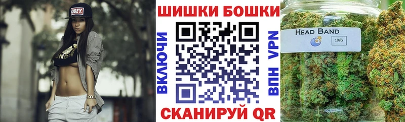 shop как зайти  купить наркотик  Высоцк  Конопля сатива 